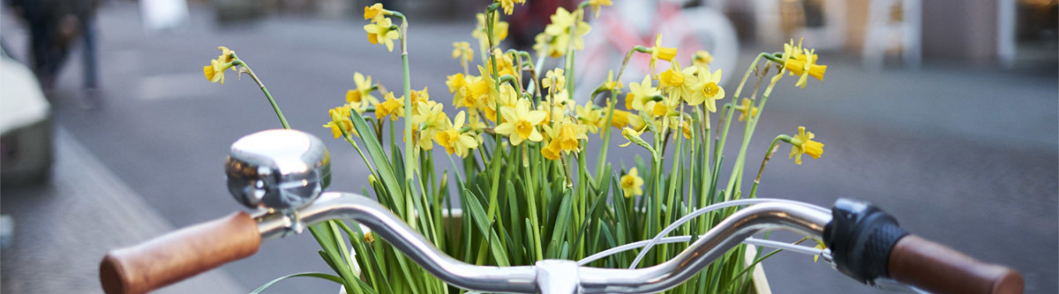 a bike basket of flowers