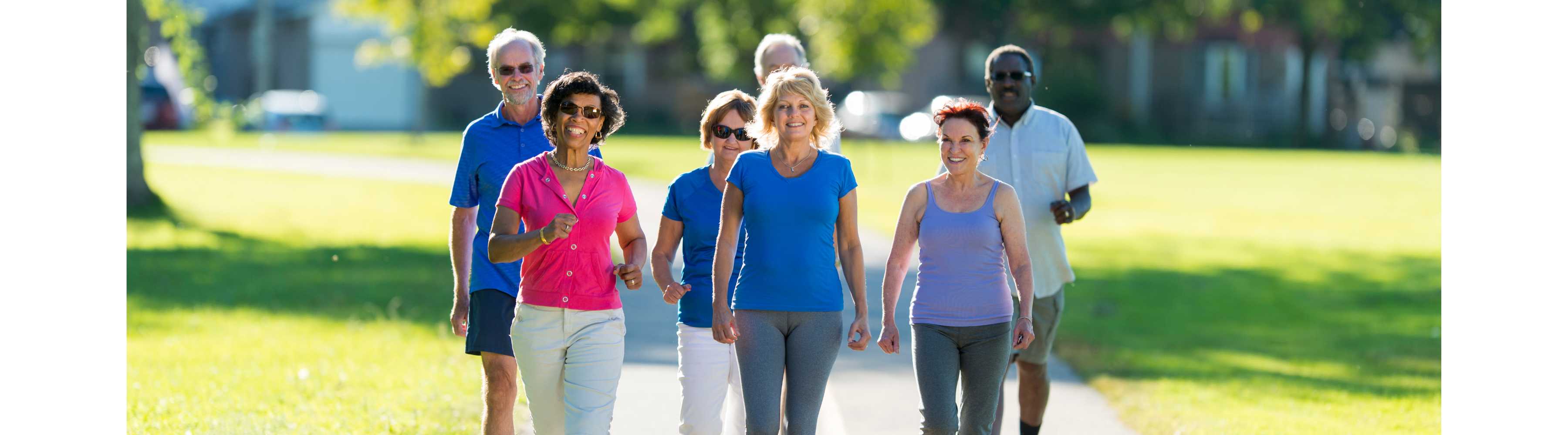 A group of happy walkers